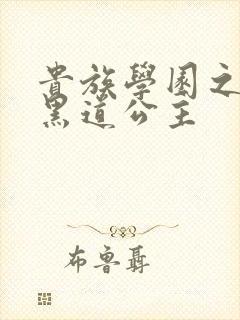 贵族学园之我的黑道公主