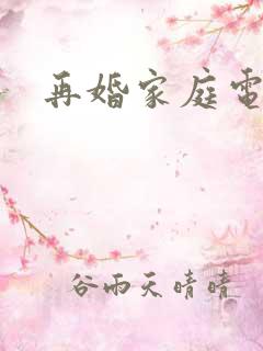 再婚家庭电视剧