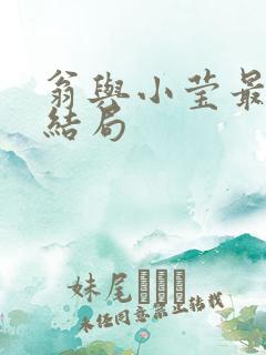 翁与小莹最新大结局