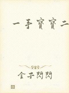 一手宝宝二手妻