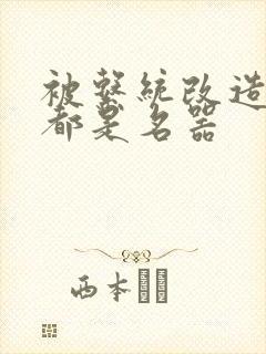 被系统改造全身都是名器