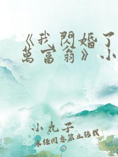 《我闪婚了个亿万富翁》小说