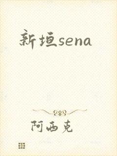 新垣sena