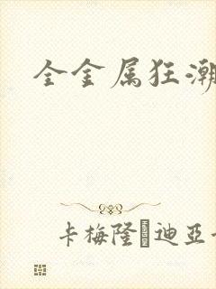 全金属狂潮小说