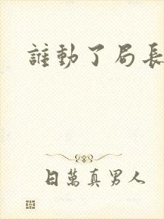 谁动了局长夫人