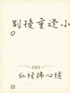 别后重逢小说po