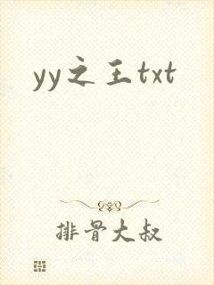 yy之王txt