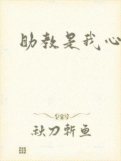 助教是我心尖宠