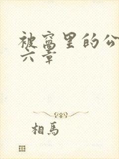 被窝里的公息十六章