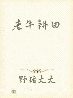 老牛耕田