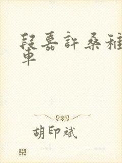 段嘉许桑稚浴室车