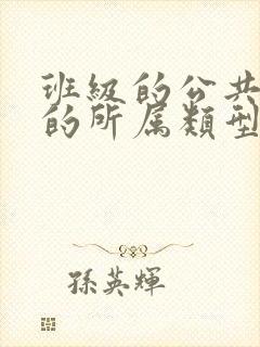 班级的公共小0的所属类型