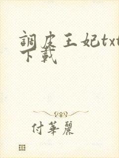 调皮王妃txt下载