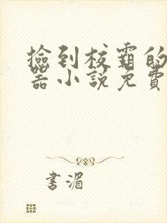 捡到校霸的遥控器小说免费阅读无弹窗