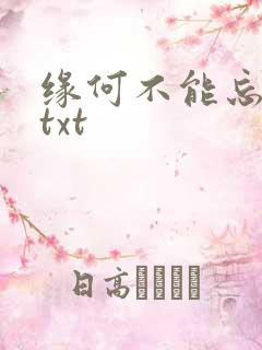 缘何不能忘记你txt