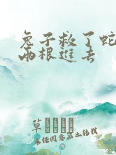 兔子救了蛇被蛇两根进去