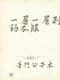 一层一层剥开你的衣服