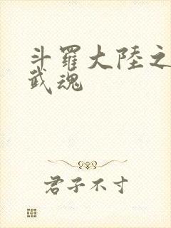 斗罗大陆之三生武魂