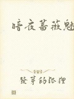 暗夜蔷薇魅