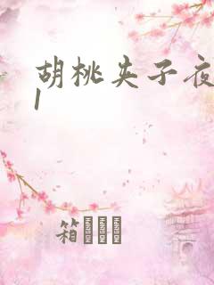 胡桃夹子夜未眠1