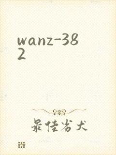 wanz-382