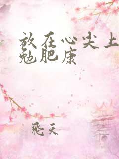 放在心尖上七猫勉肥康