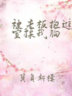 被老板抱进办公室揉我胸