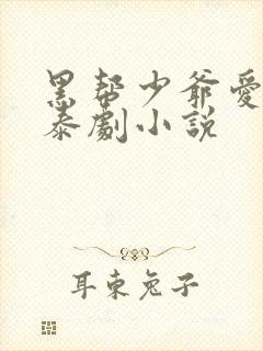 黑帮少爷爱上我泰剧小说