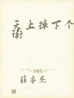 天上掉下个影卫卫