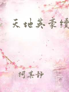 天地英豪续集