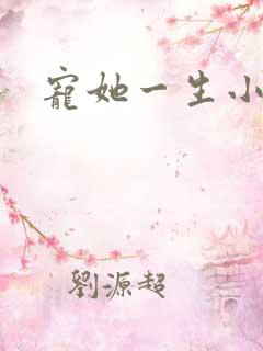 宠她一生小说