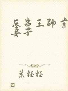 反串王帅有几任妻子