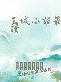 王城小说最近阅读