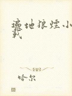 遍地狼烟小说下载