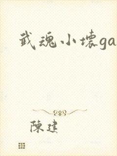 武魂小坏ga