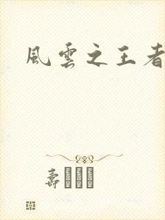 风云之王者人生