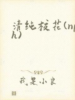 清纯校花(nph)
