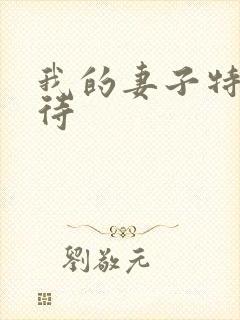 我的妻子特殊招待