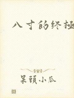 八寸的终极凶器