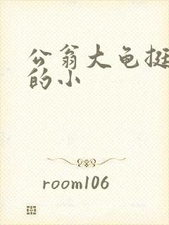 公翁大龟挺进我的小