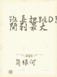 班长把跳D开关开到最大