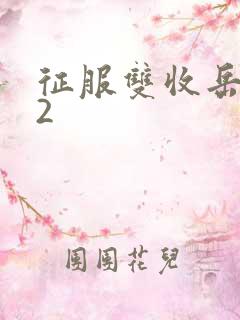 征服双收岳女两2