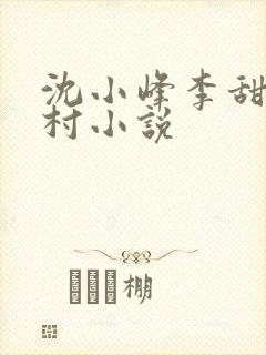 沈小峰李甜的乡村小说