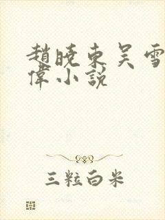 赵晓东吴雪晴郑伟小说