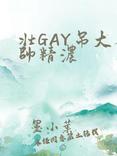 壮GAY吊大人帅精浓