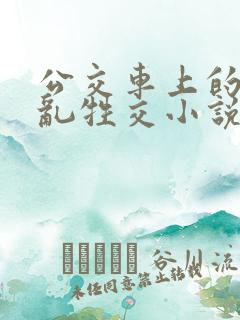 公交车上的疯狂乱牲交小说