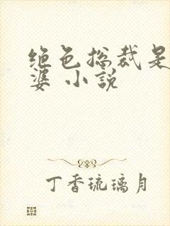 绝色总裁是我老婆 小说