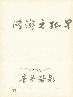 网游之孤星传说