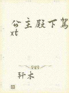 公主殿下驾到txt