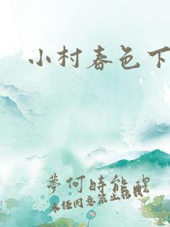 小村春色下载